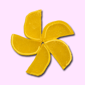 lemonfruitslices