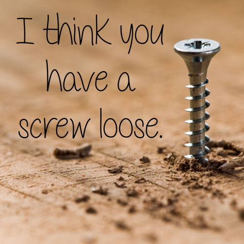 Screw Loose Chocolate Screws LooseScrew