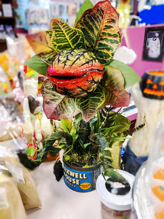 Audrey II