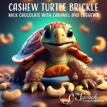 Classic Cashew Turtle