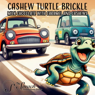 Running "Roadkill" Cashew Turtle
