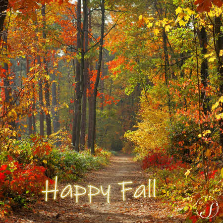 Designs: Happy Fall