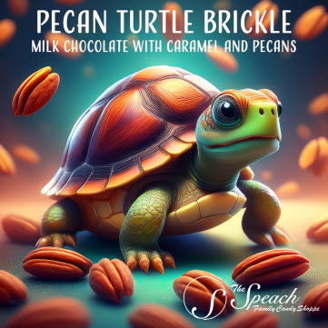 Classic Pecan Turtle