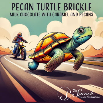 Running "Roadkill" Pecan Turtle